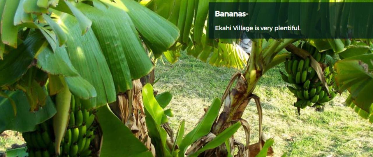 9B Ekahi Village-Studio Bath, Garden View - 1 Minute Stroll To Beach! 와일레아마우이 외부 사진